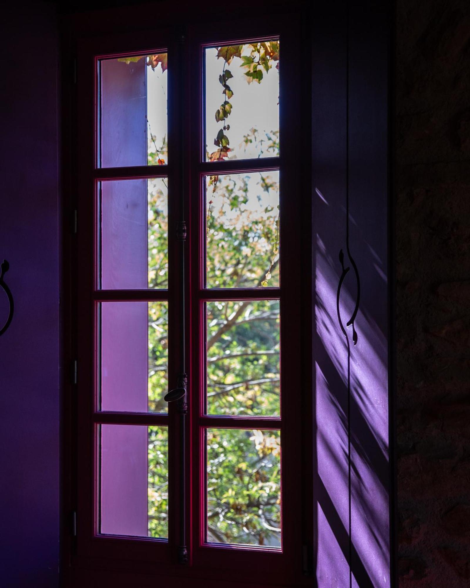 Village Castigno - Wine Hotel & Resort Assignan Buitenkant foto