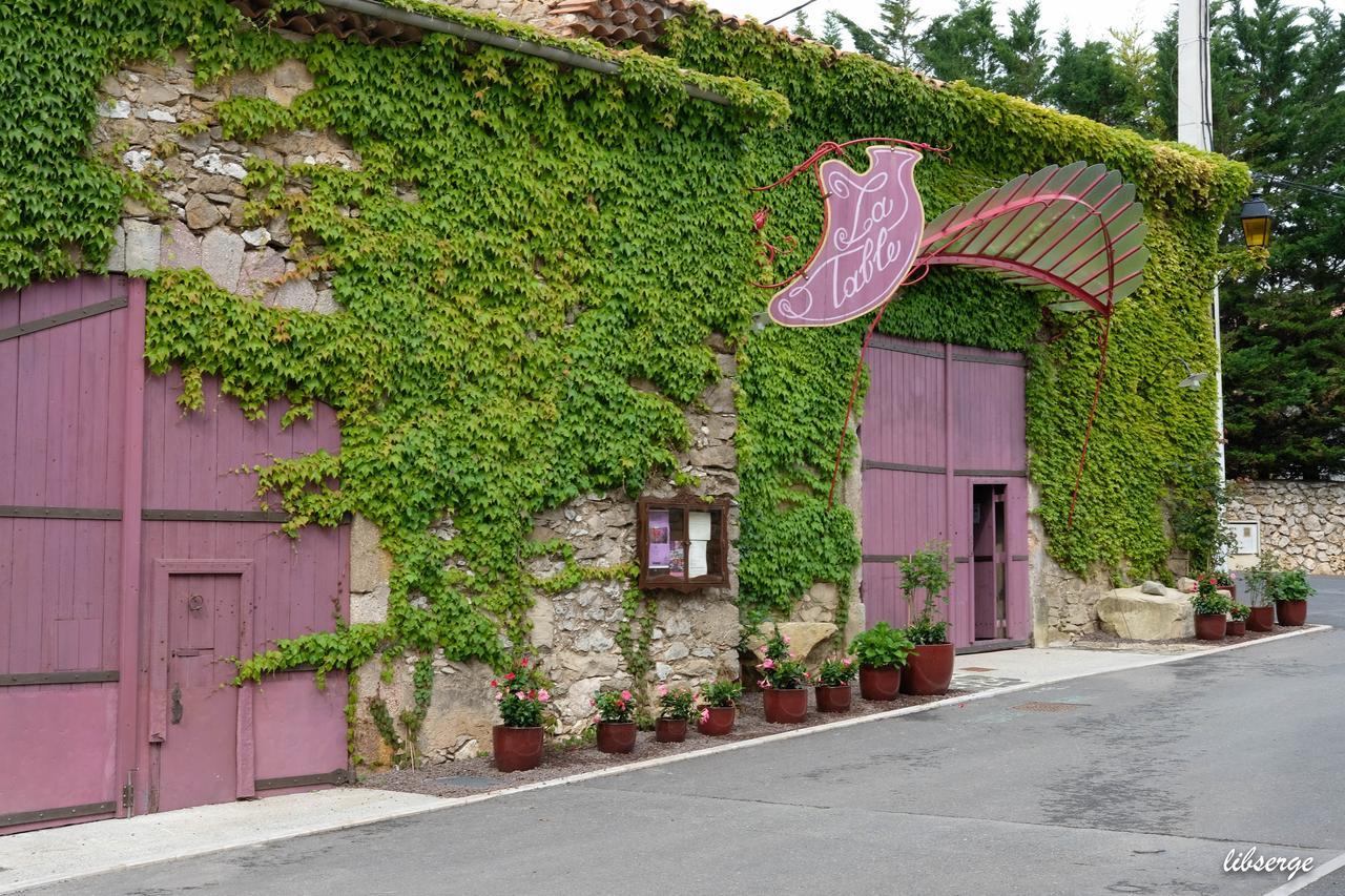 Village Castigno - Wine Hotel & Resort Assignan Buitenkant foto